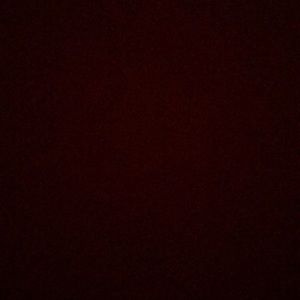 Meet your Posher, Toni